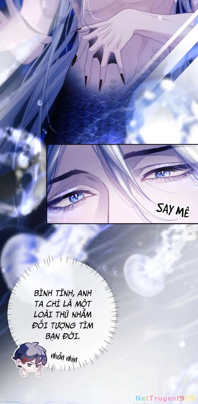 Desharow Nhân Ngư Chapter 10 - 12