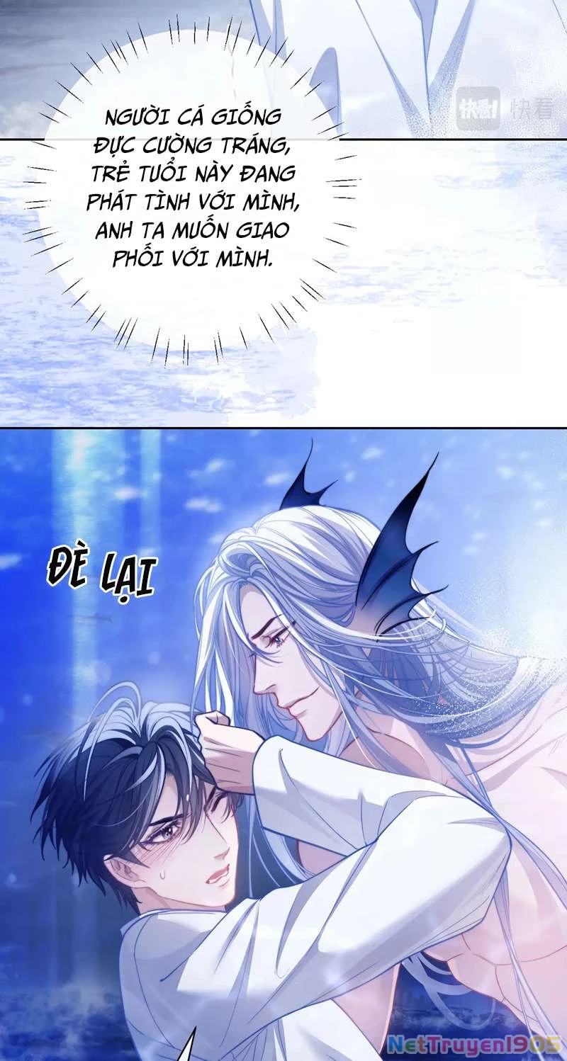 Desharow Nhân Ngư Chapter 10 - 23