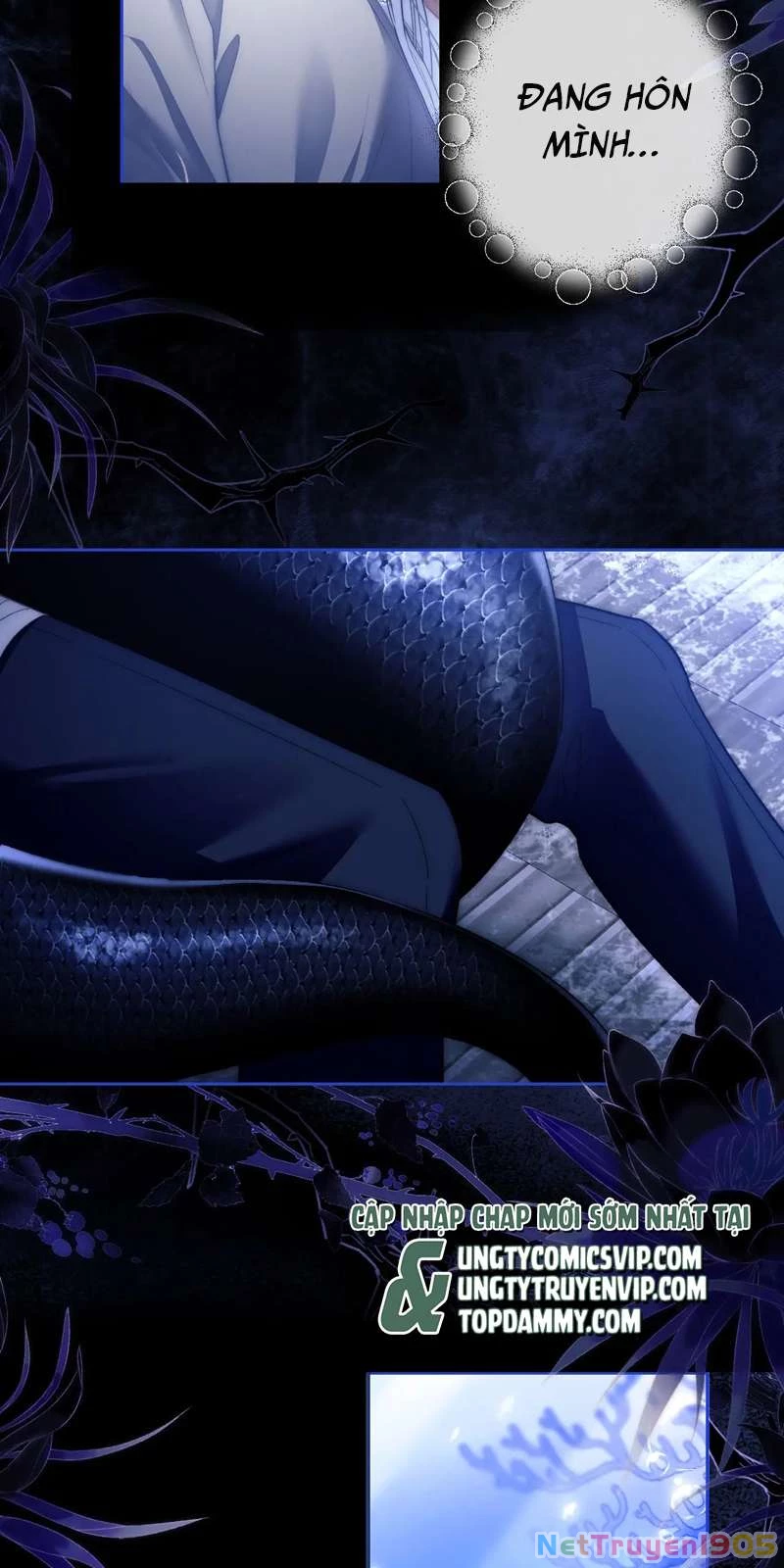 Desharow Nhân Ngư Chapter 10 - 26