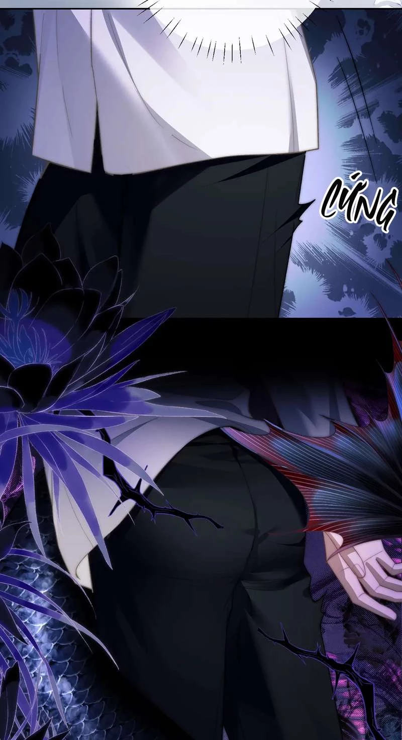 Desharow Nhân Ngư Chapter 11 - 32