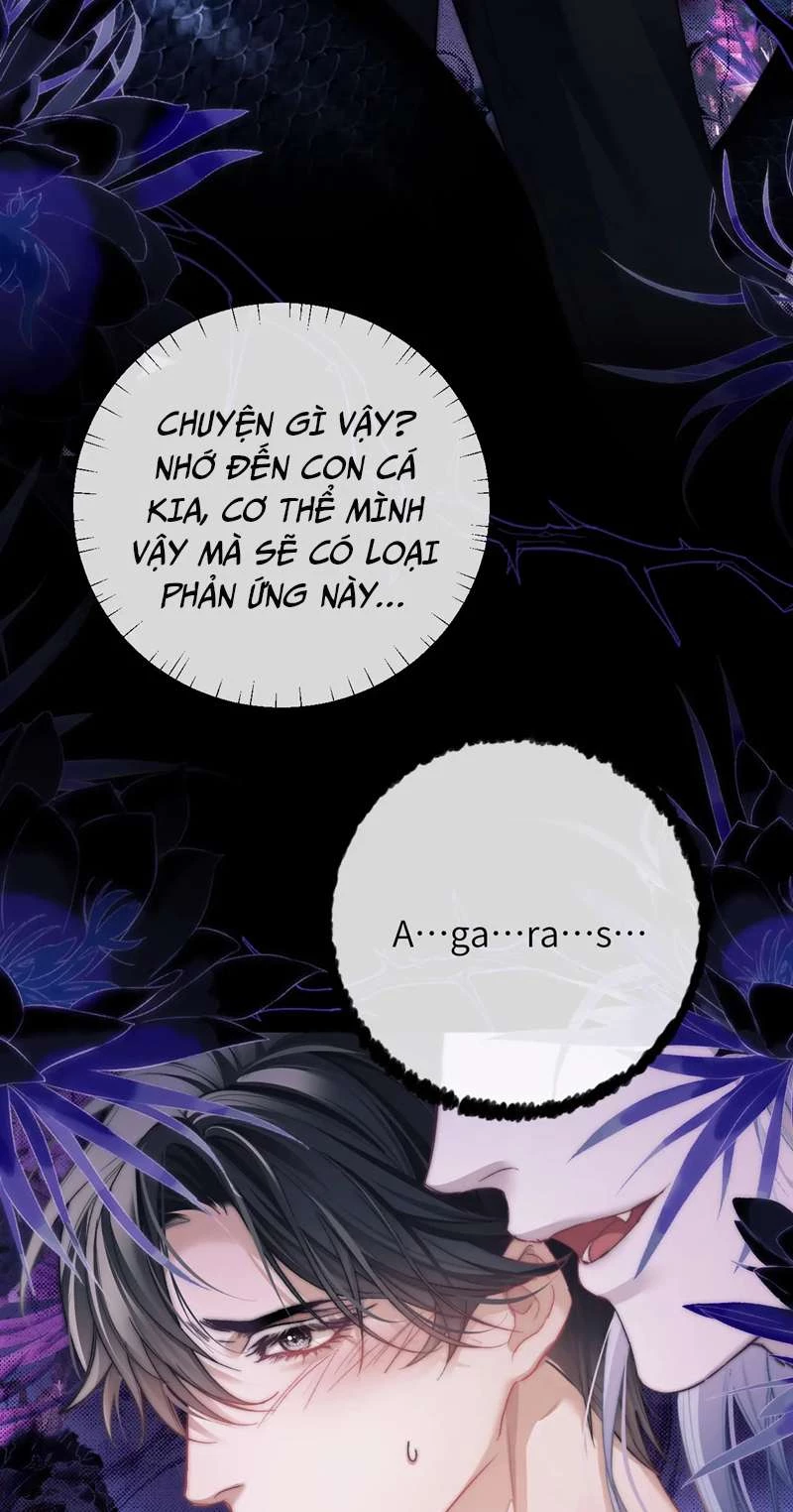 Desharow Nhân Ngư Chapter 11 - 33