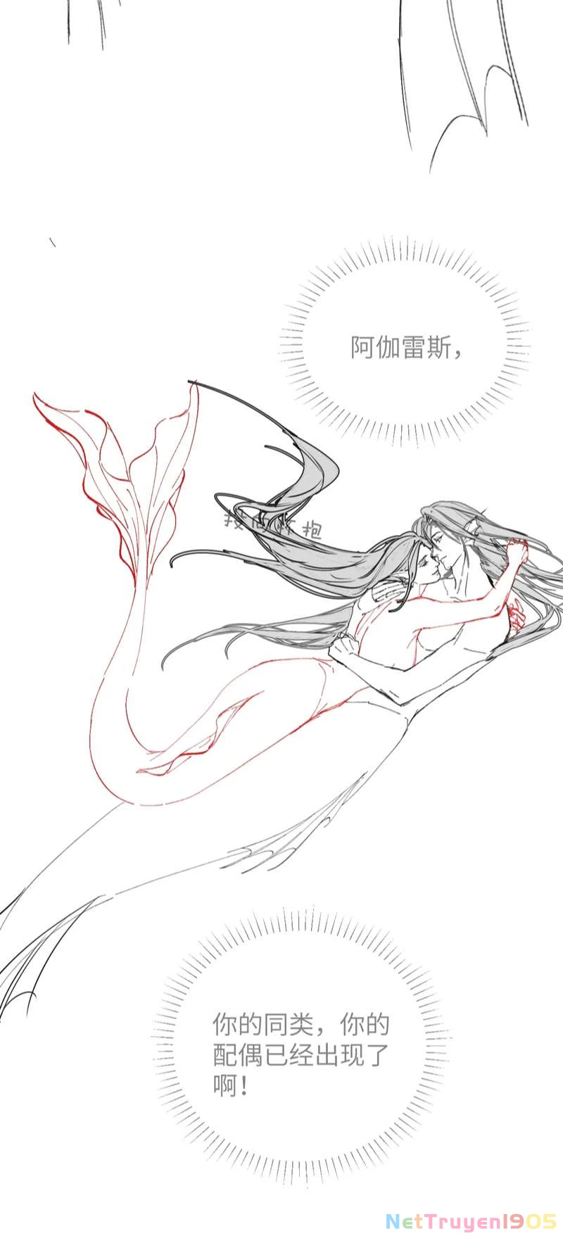 Desharow Nhân Ngư Chapter 11 - 40