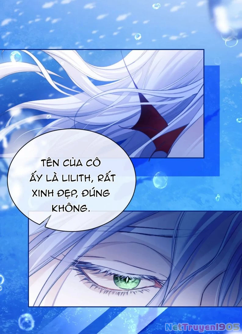 Desharow Nhân Ngư Chapter 12 - 6