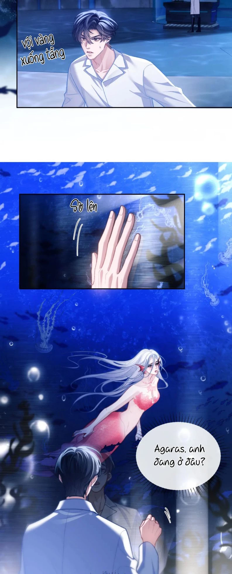 Desharow Nhân Ngư Chapter 12 - 14