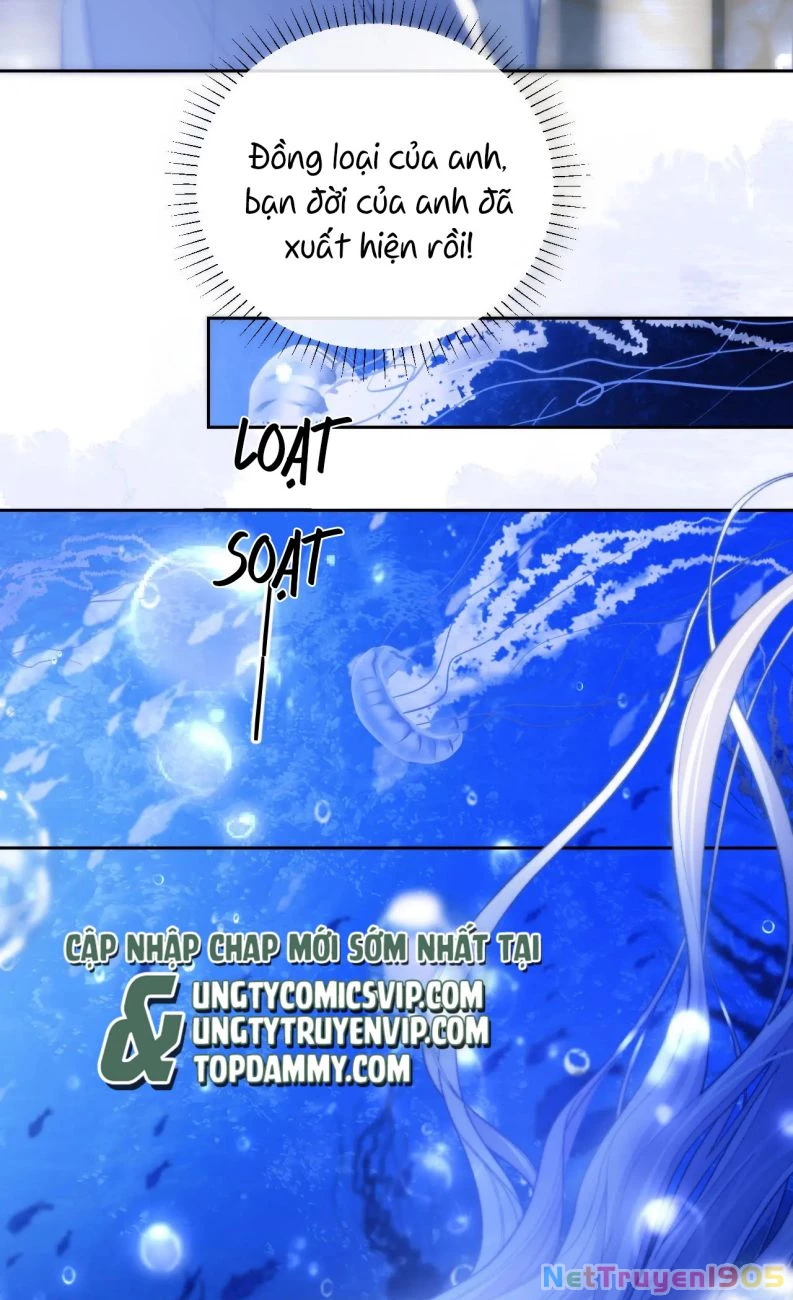 Desharow Nhân Ngư Chapter 12 - 15