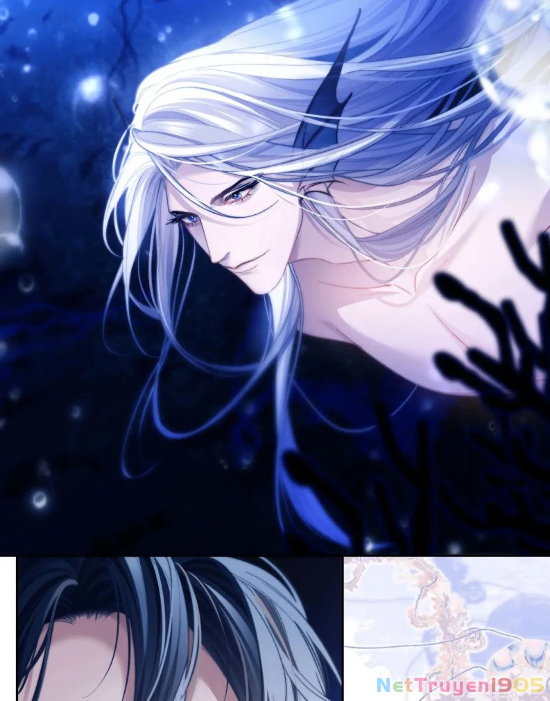 Desharow Nhân Ngư Chapter 12 - 16