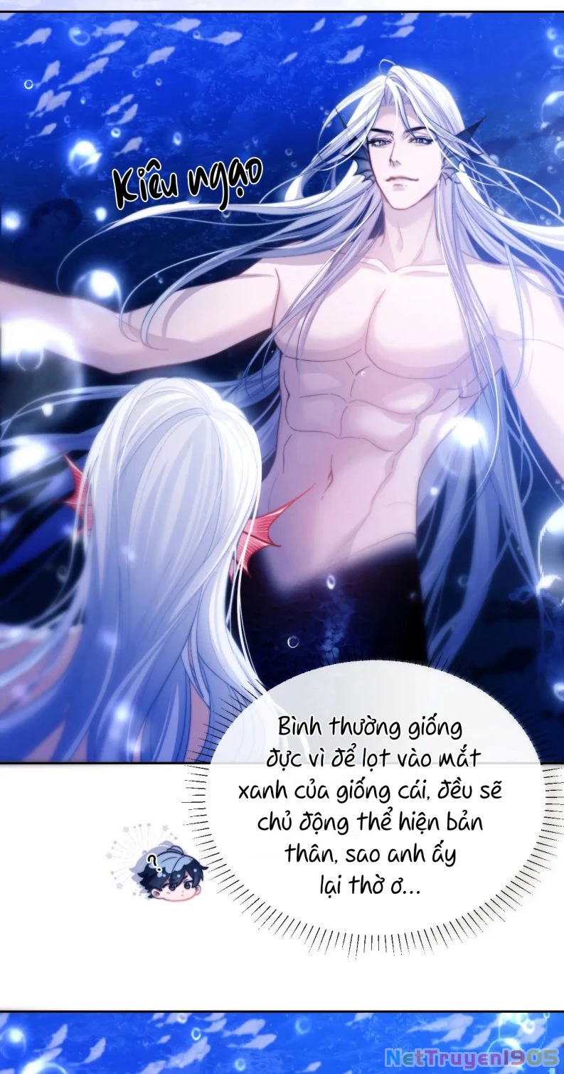 Desharow Nhân Ngư Chapter 12 - 18