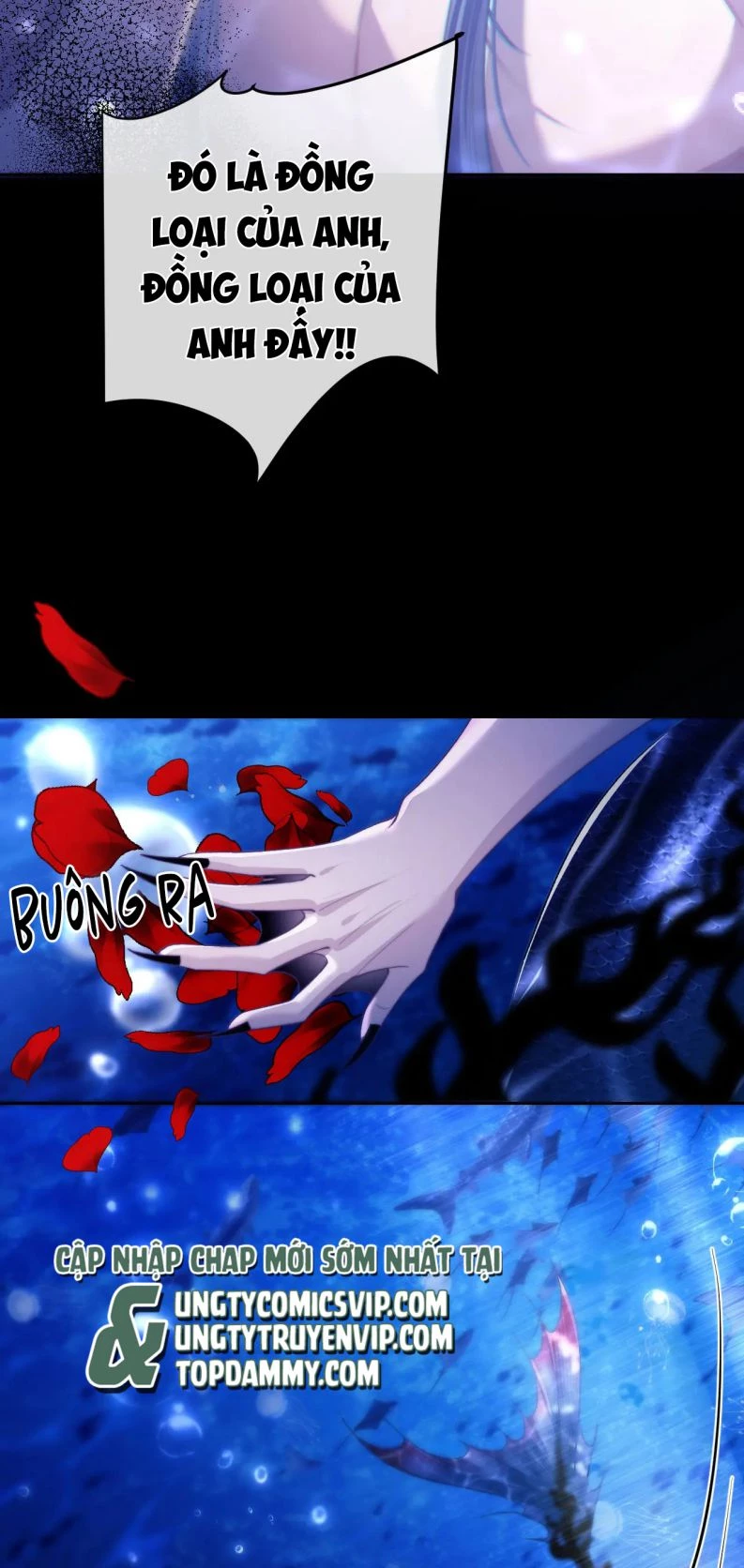 Desharow Nhân Ngư Chapter 12 - 25