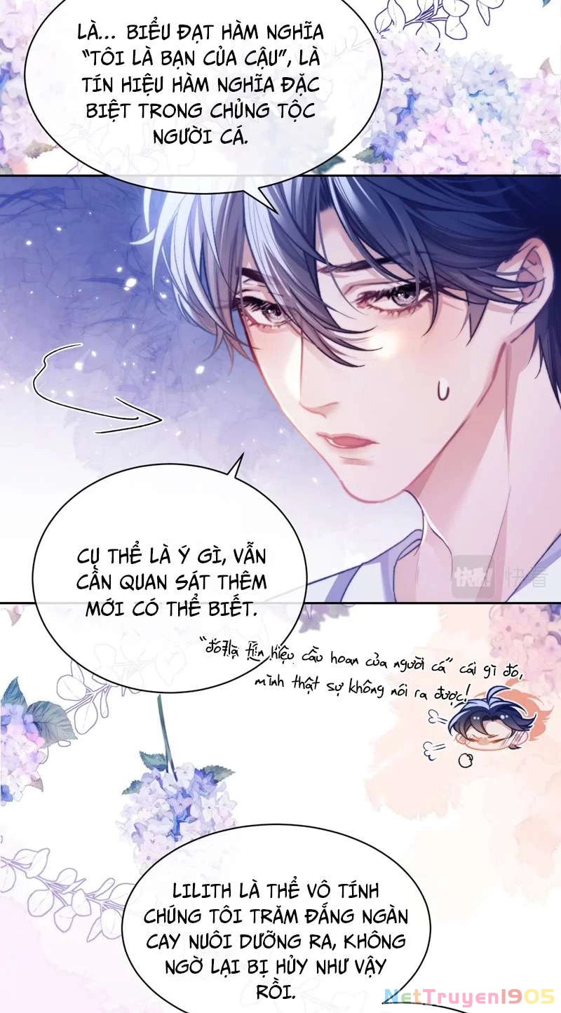 Desharow Nhân Ngư Chapter 13 - 3