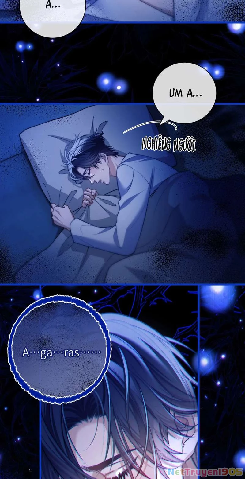 Desharow Nhân Ngư Chapter 13 - 15