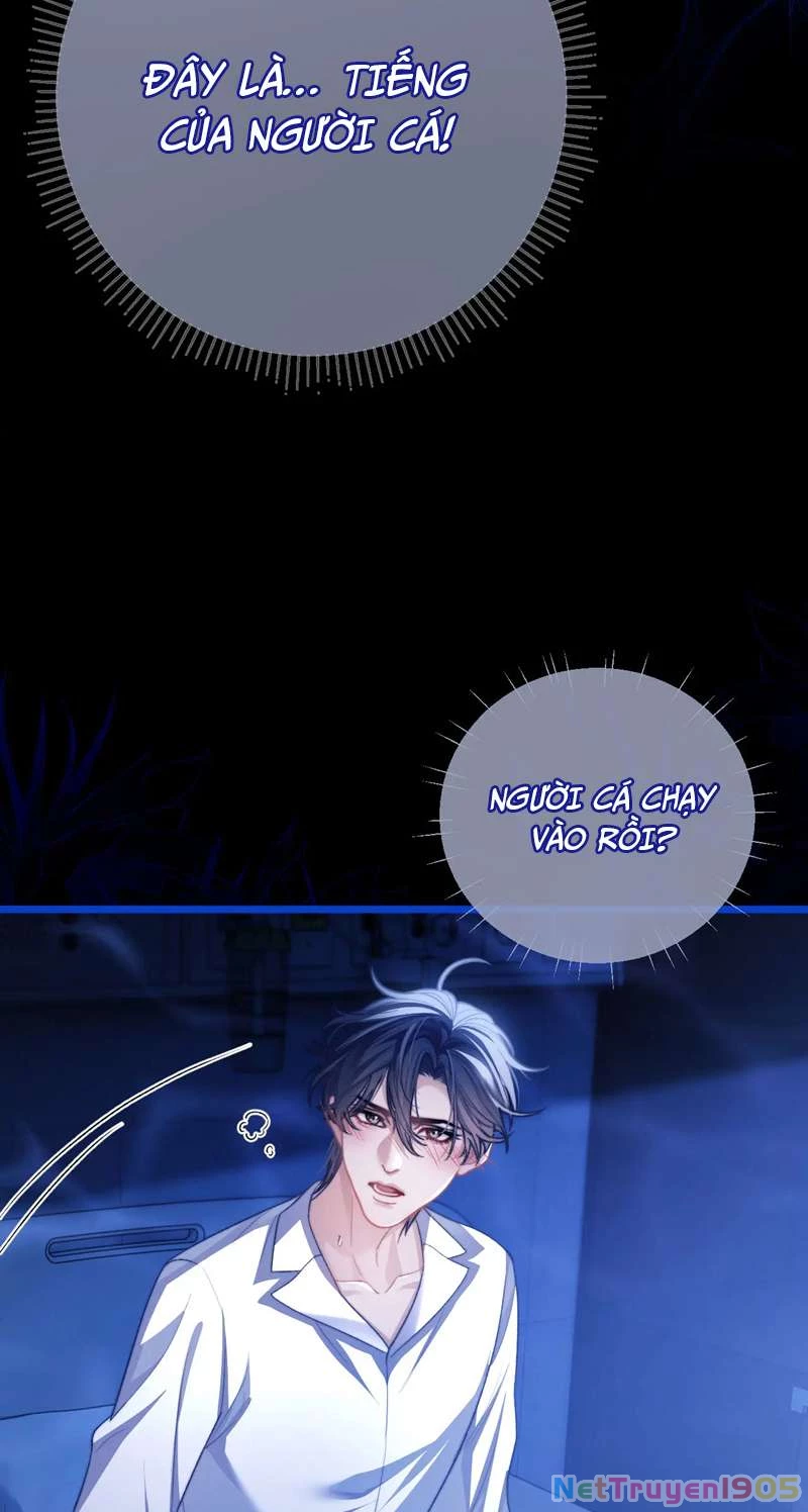 Desharow Nhân Ngư Chapter 13 - 18