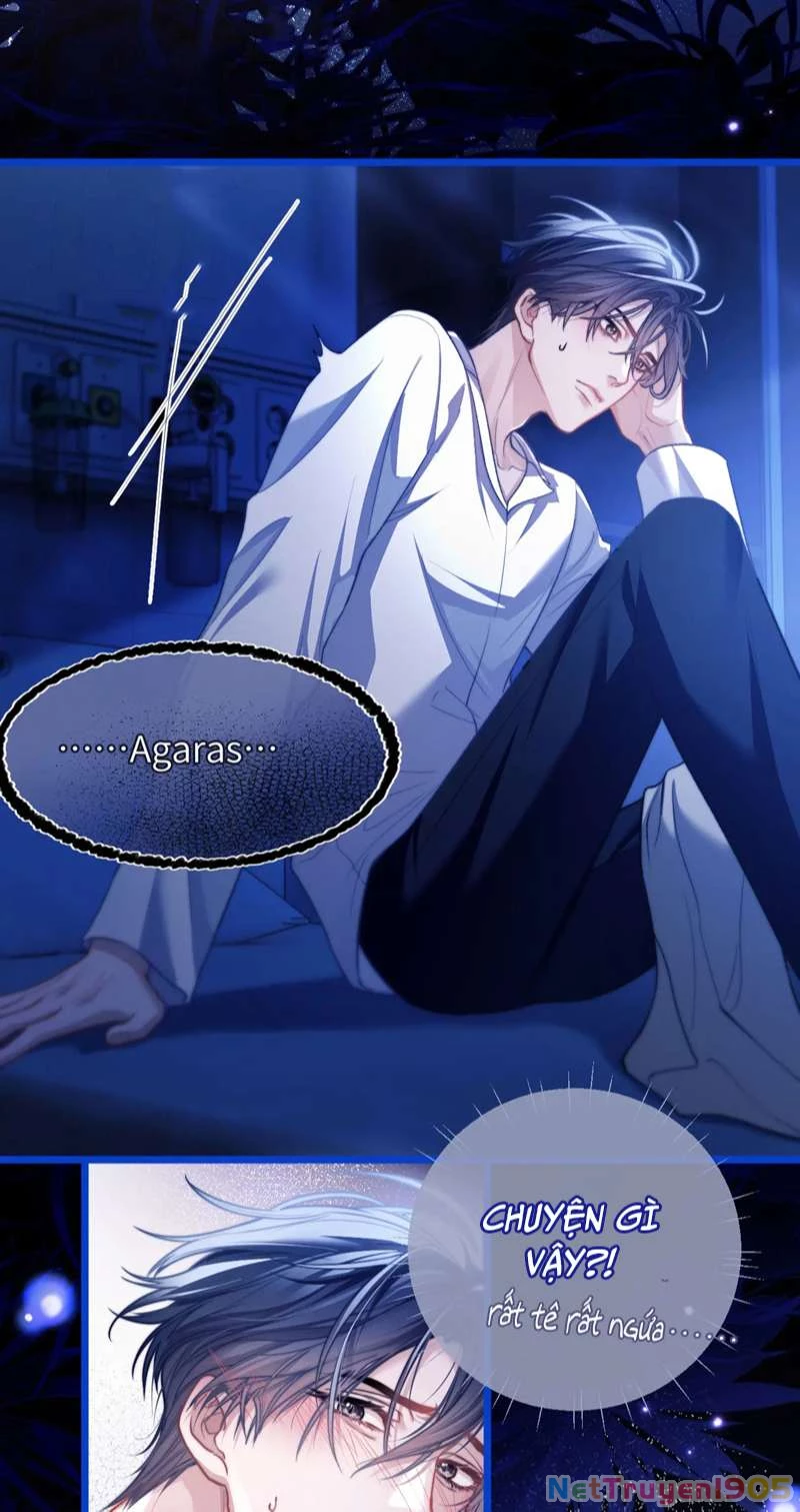 Desharow Nhân Ngư Chapter 13 - 21