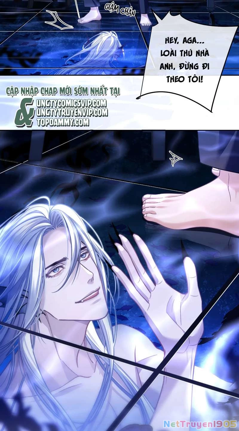 Desharow Nhân Ngư Chapter 14 - 3