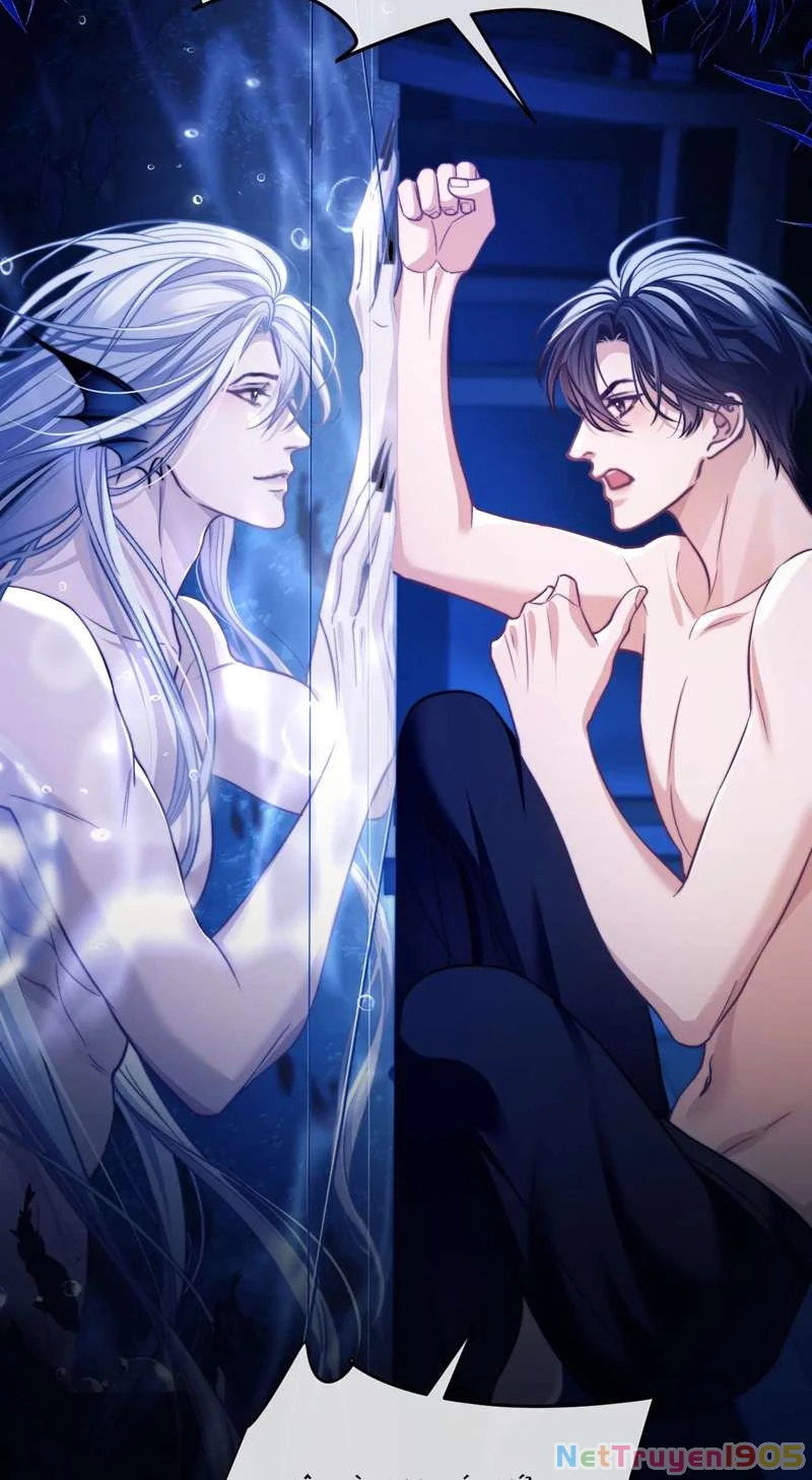 Desharow Nhân Ngư Chapter 14 - 6