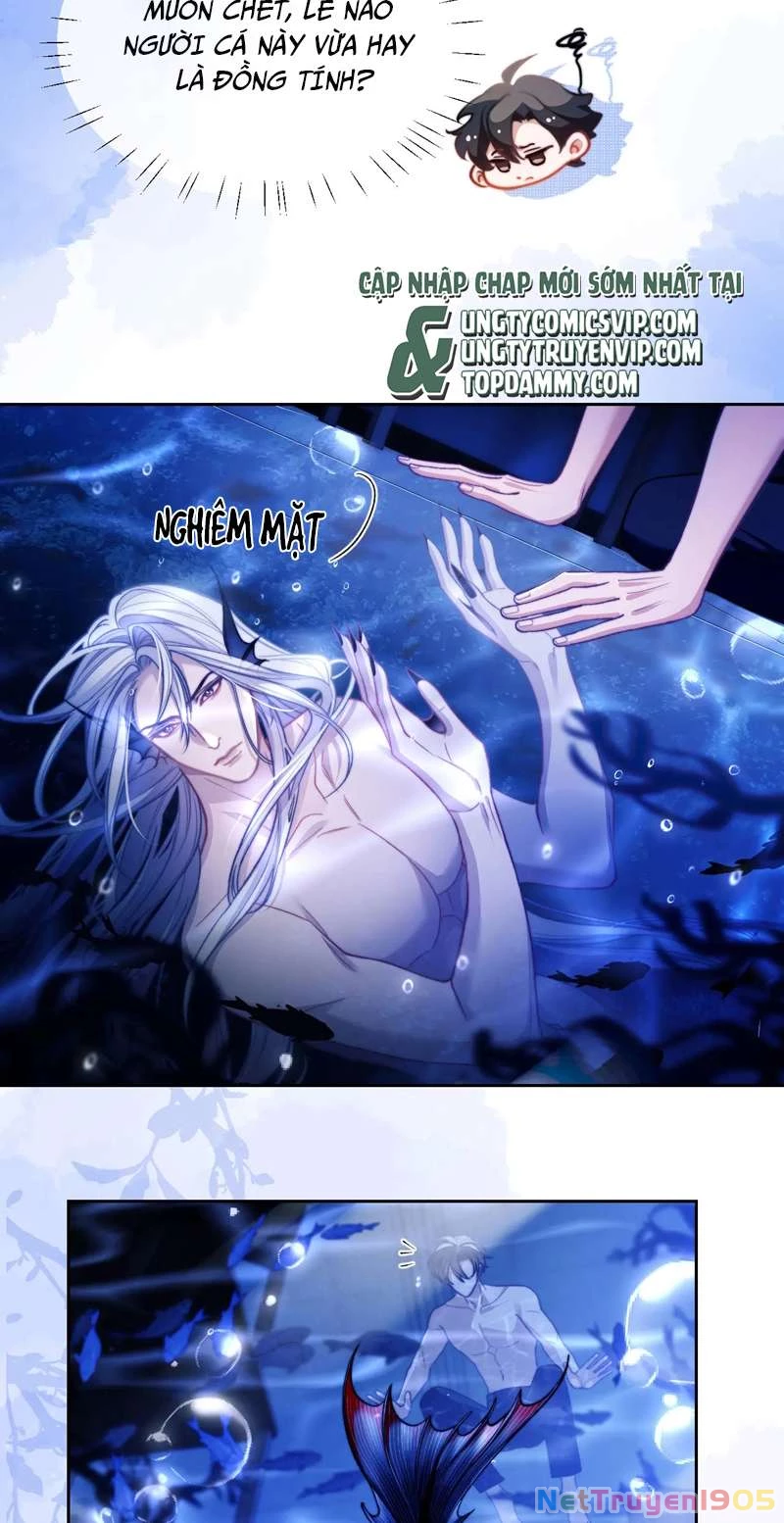Desharow Nhân Ngư Chapter 14 - 8