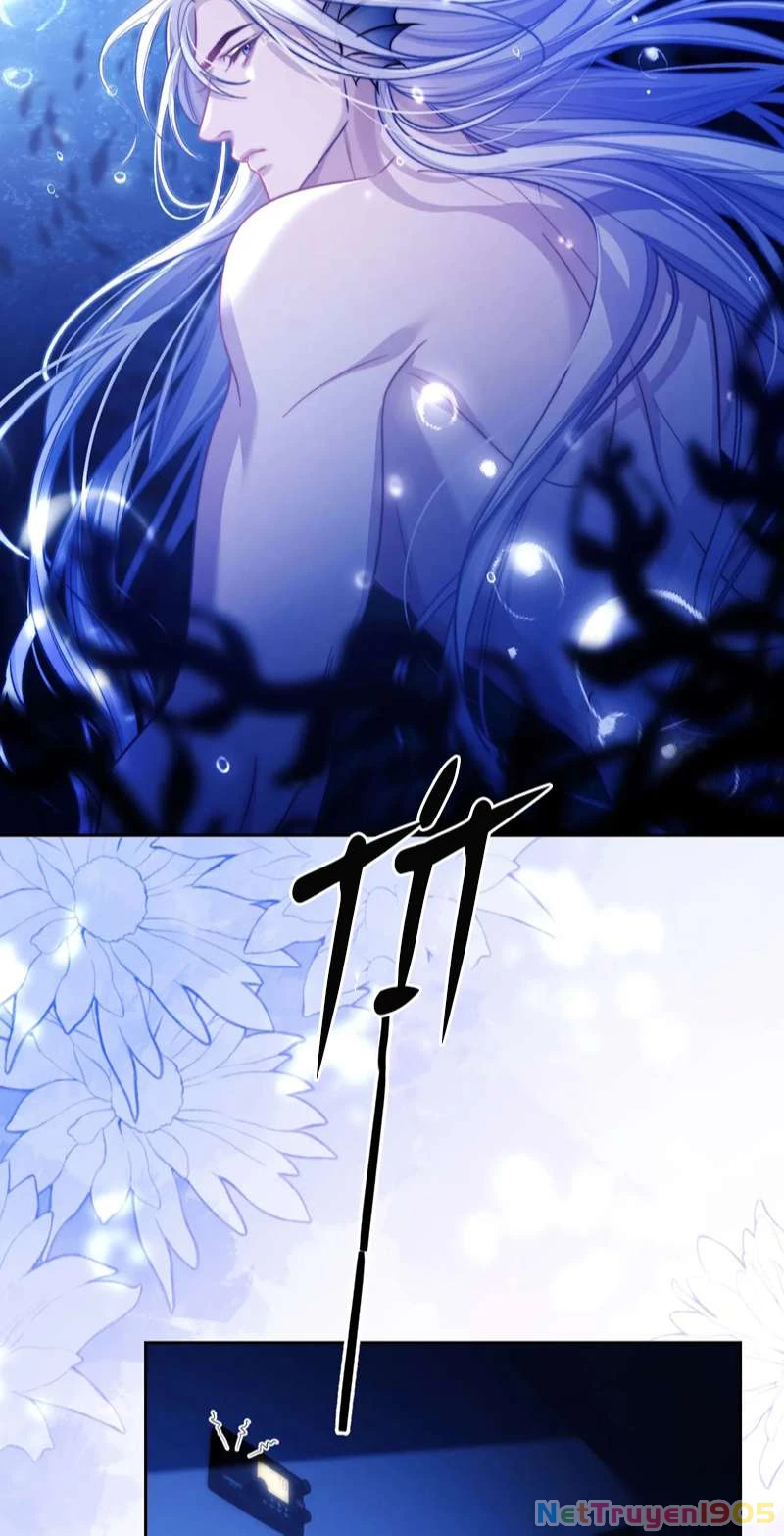 Desharow Nhân Ngư Chapter 14 - 10