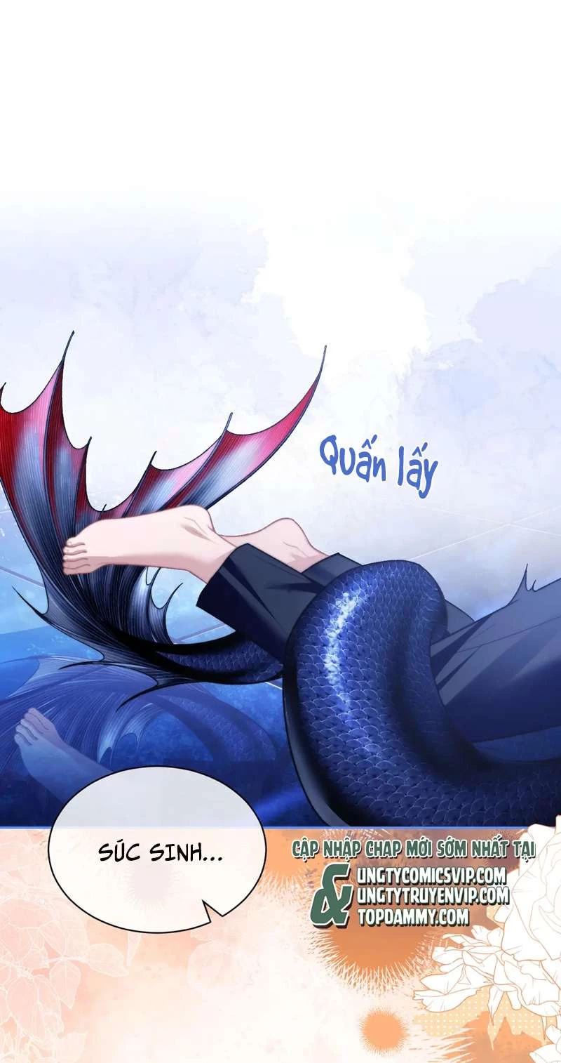 Desharow Nhân Ngư Chapter 15 - 2