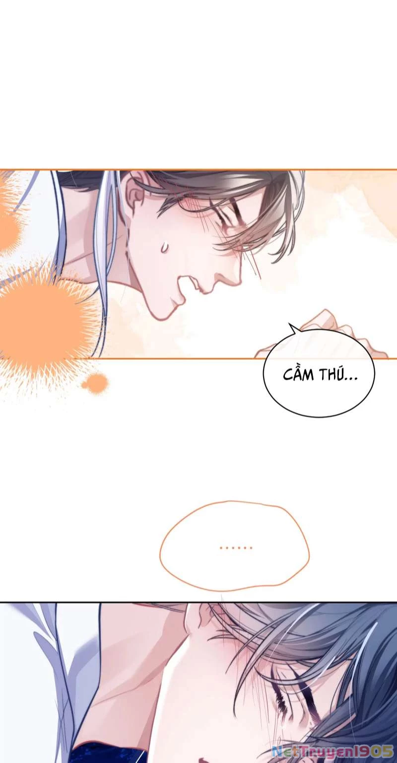 Desharow Nhân Ngư Chapter 15 - 4