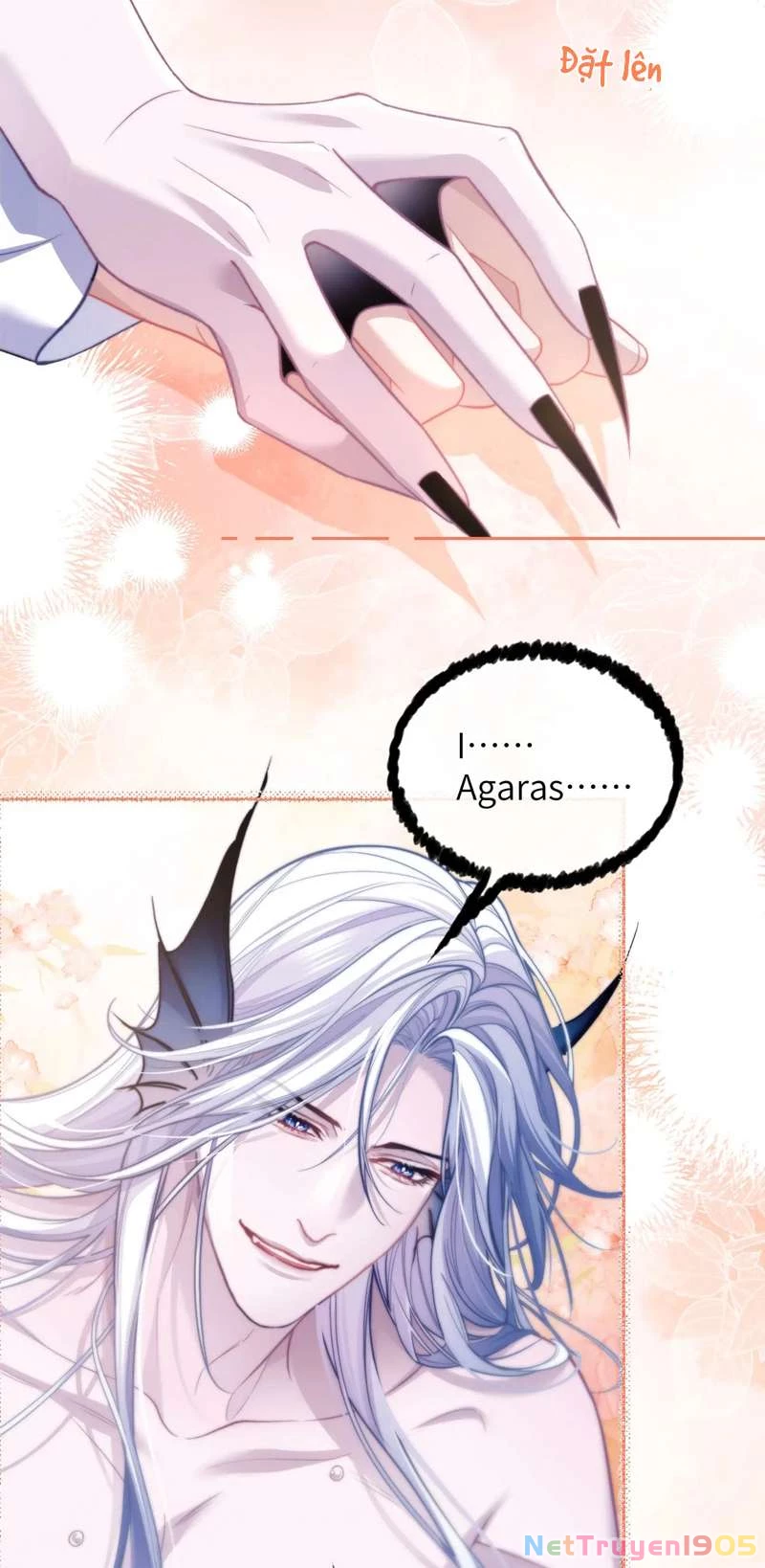 Desharow Nhân Ngư Chapter 15 - 6