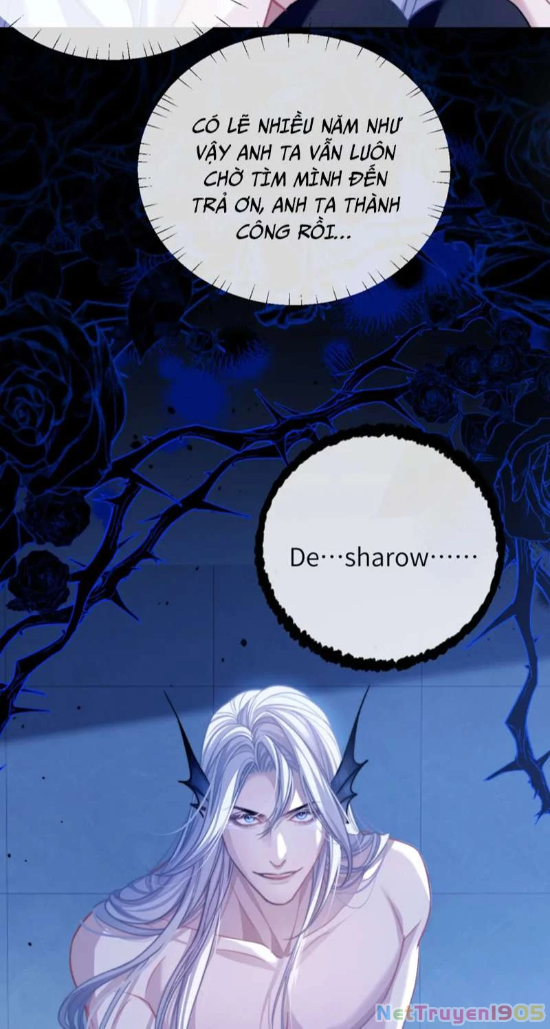 Desharow Nhân Ngư Chapter 15 - 26