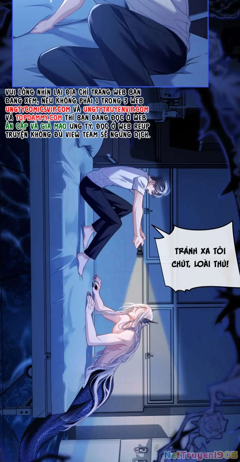 Desharow Nhân Ngư Chapter 15 - 28