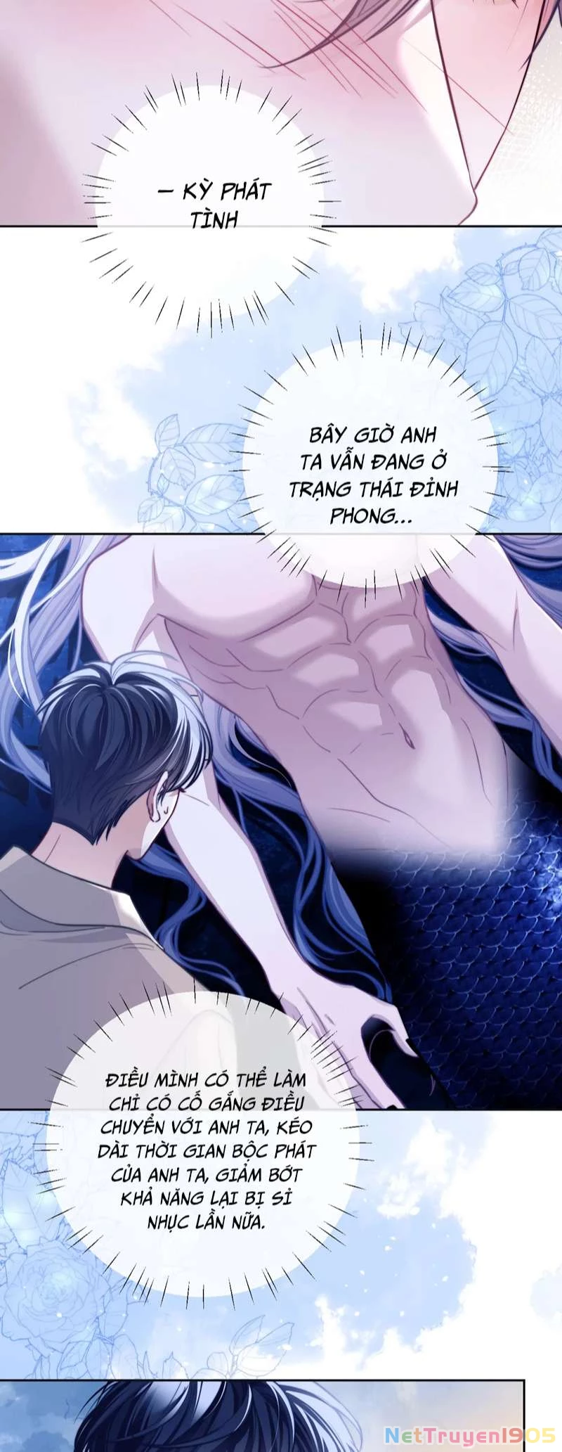 Desharow Nhân Ngư Chapter 16 - 28