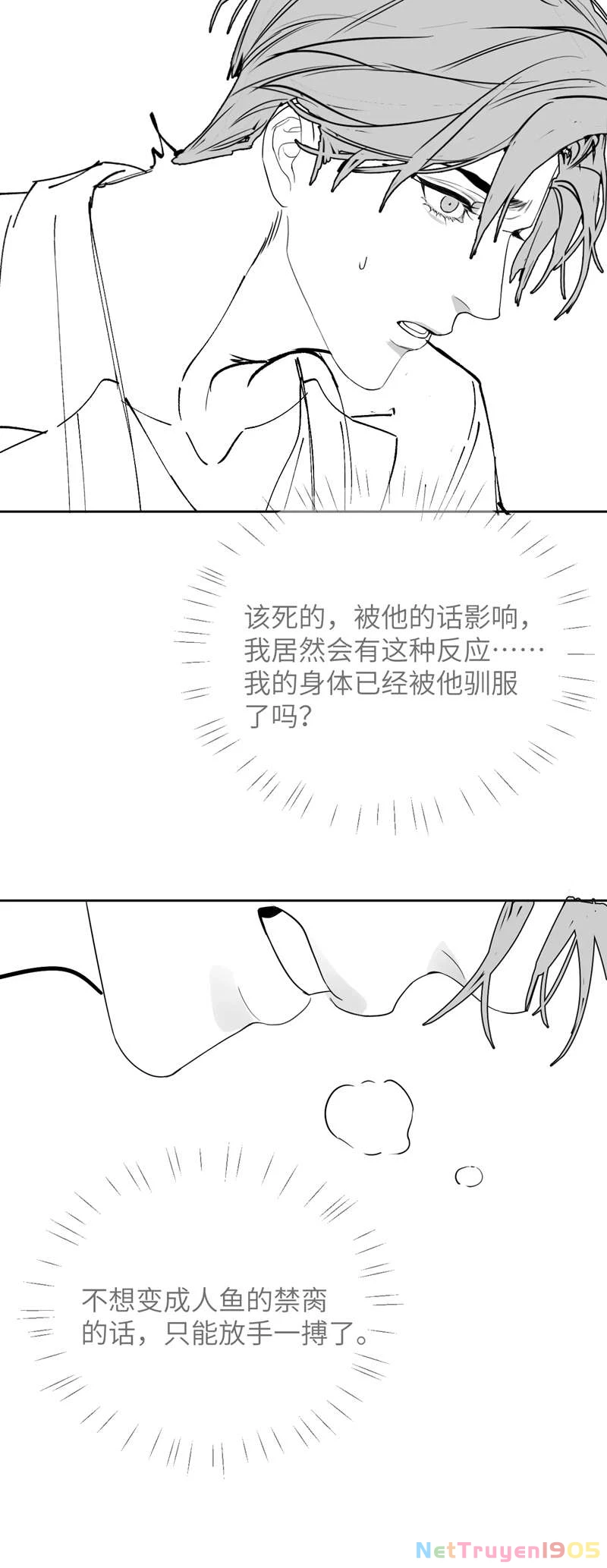 Desharow Nhân Ngư Chapter 16 - 32