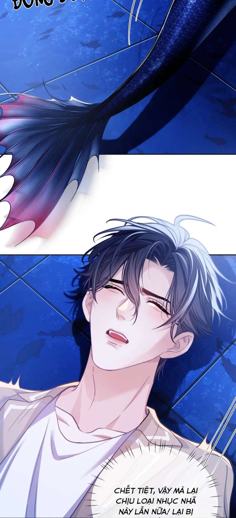 Desharow Nhân Ngư Chapter 17 - 19