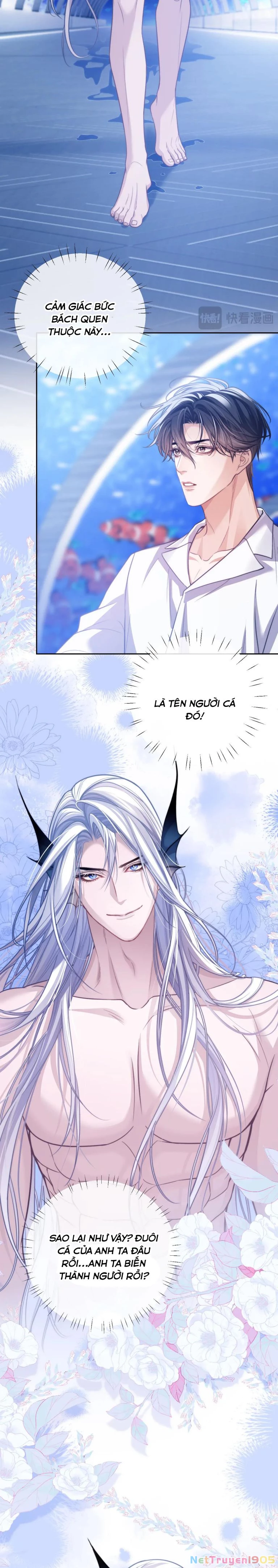 Desharow Nhân Ngư Chapter 18 - 11