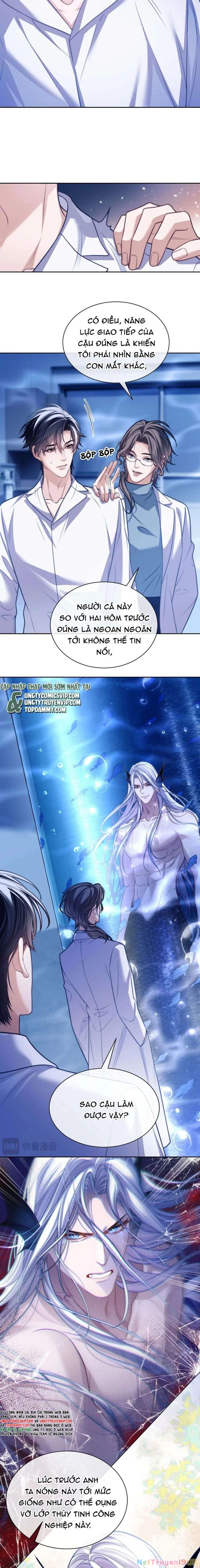 Desharow Nhân Ngư Chapter 19 - 4