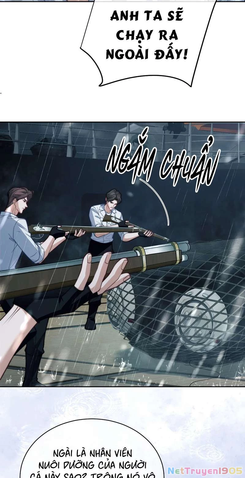 Desharow Nhân Ngư Chapter 20 - 34