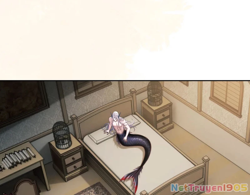 Desharow Nhân Ngư Chapter 22 - 6