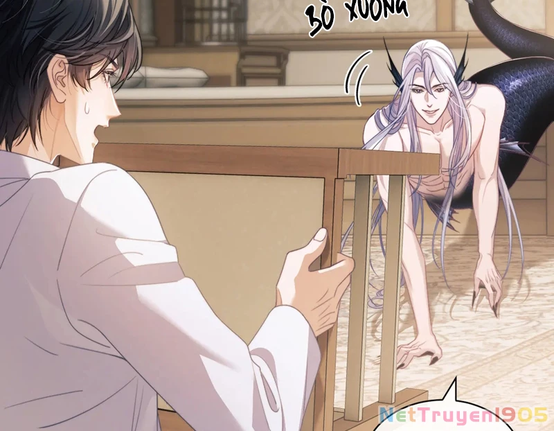 Desharow Nhân Ngư Chapter 22 - 17