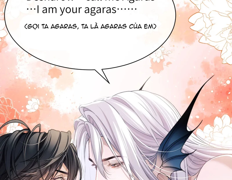 Desharow Nhân Ngư Chapter 22 - 20