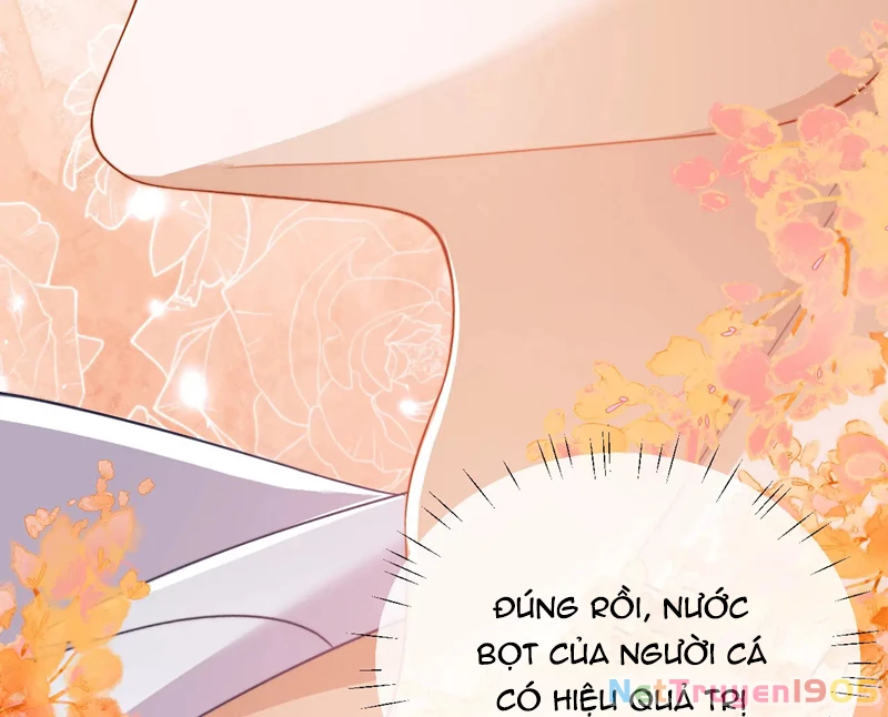 Desharow Nhân Ngư Chapter 22 - 67