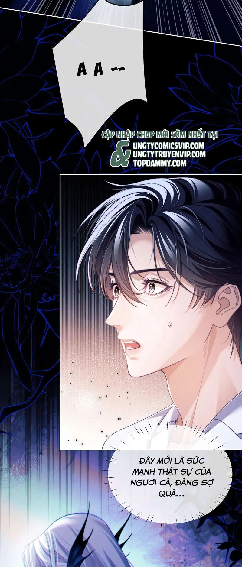 Desharow Nhân Ngư Chapter 24 - 8