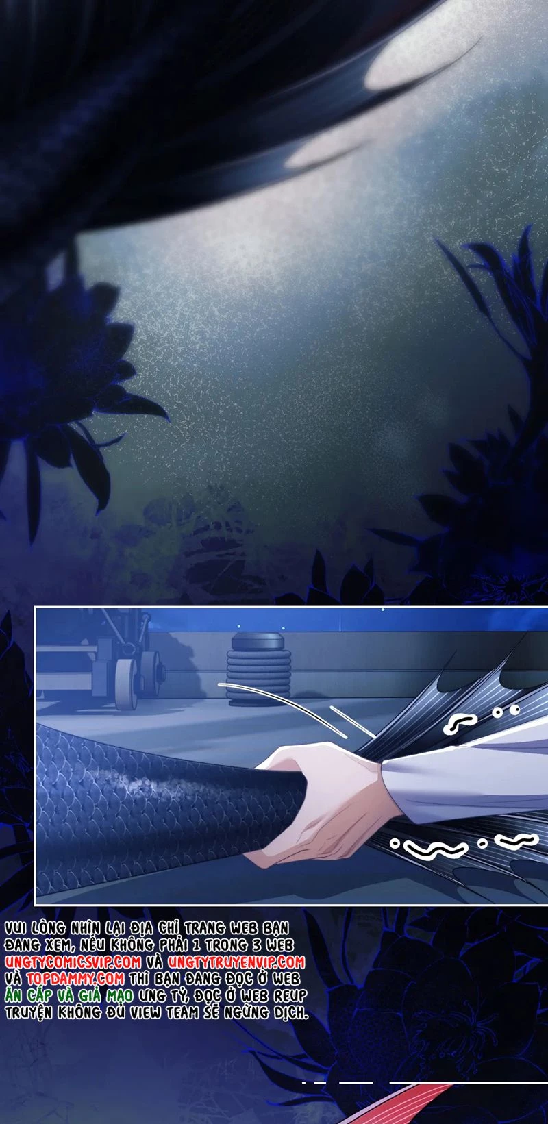 Desharow Nhân Ngư Chapter 25 - 16