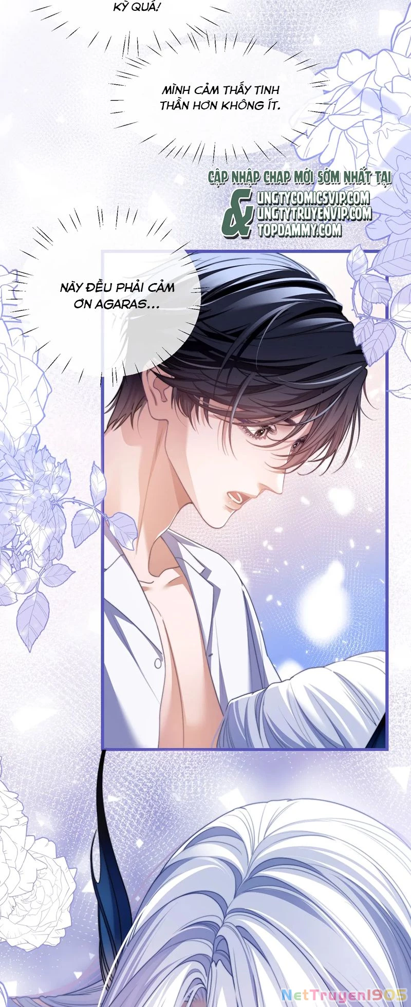 Desharow Nhân Ngư Chapter 26 - 11