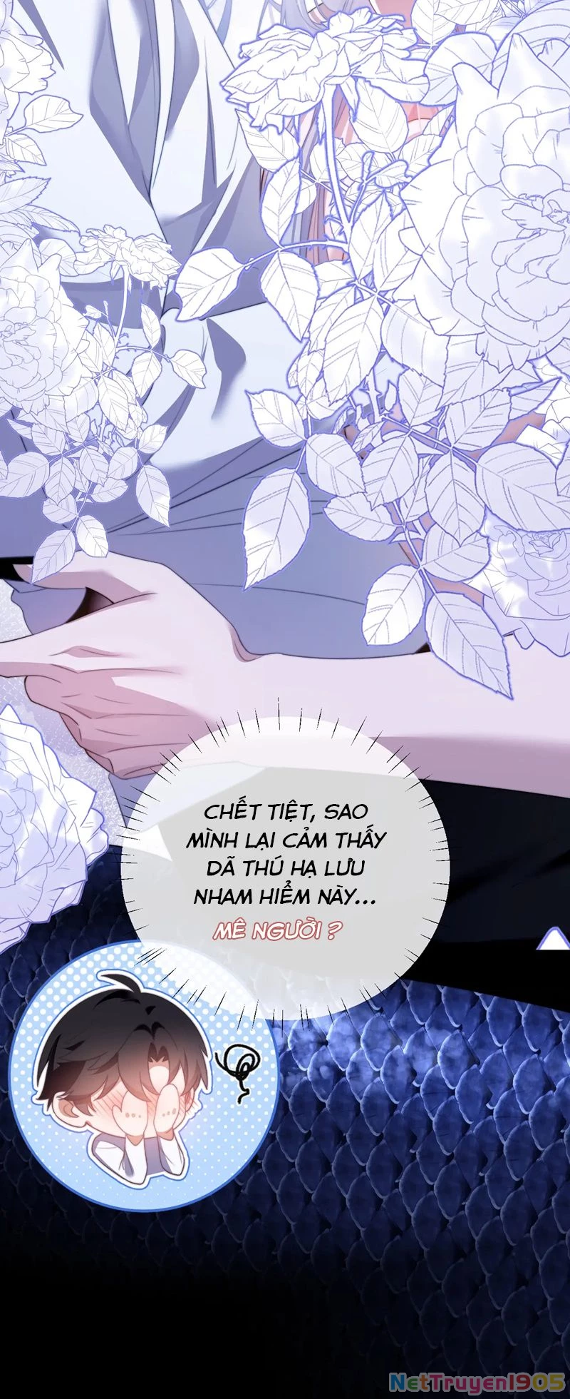 Desharow Nhân Ngư Chapter 26 - 14