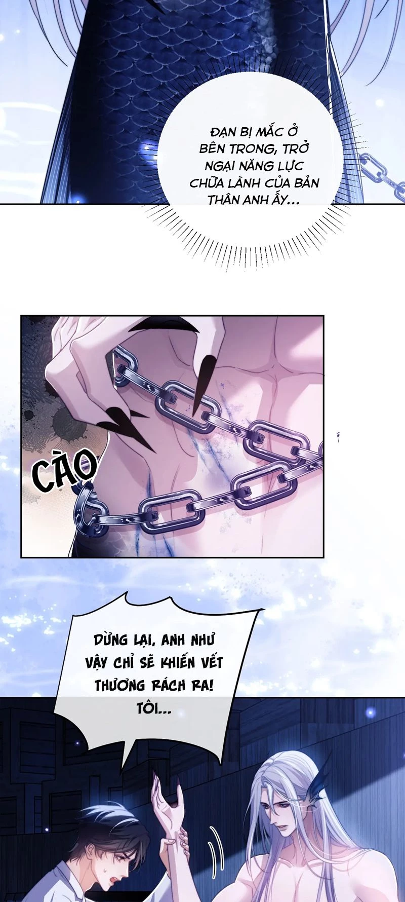 Desharow Nhân Ngư Chapter 26 - 24