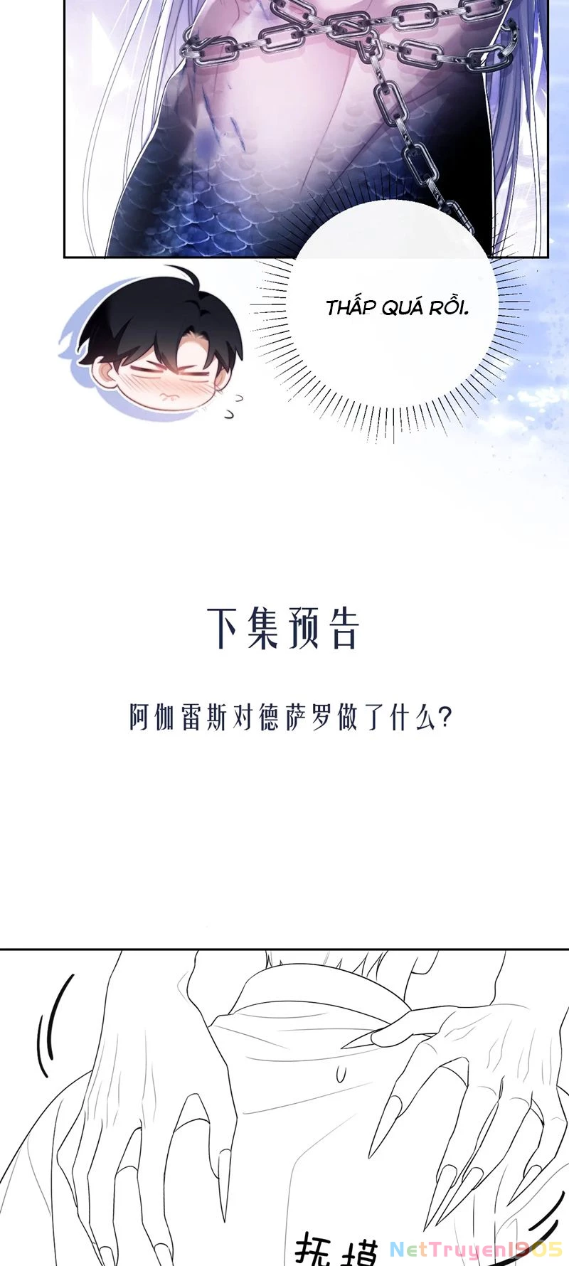 Desharow Nhân Ngư Chapter 26 - 26