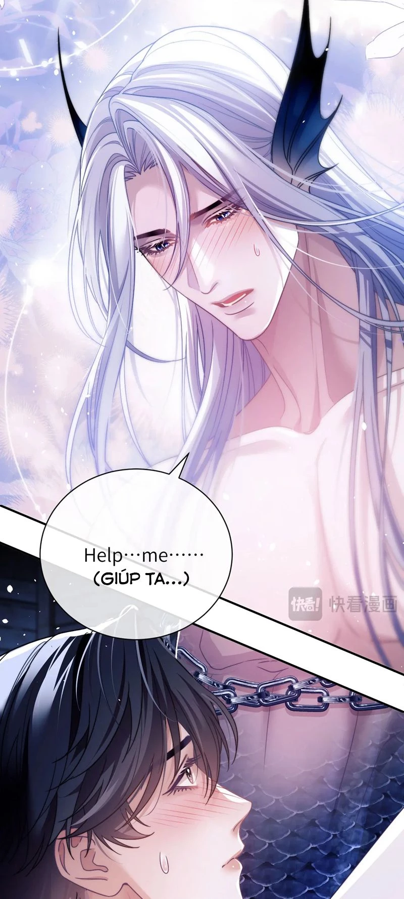 Desharow Nhân Ngư Chapter 27 - 11