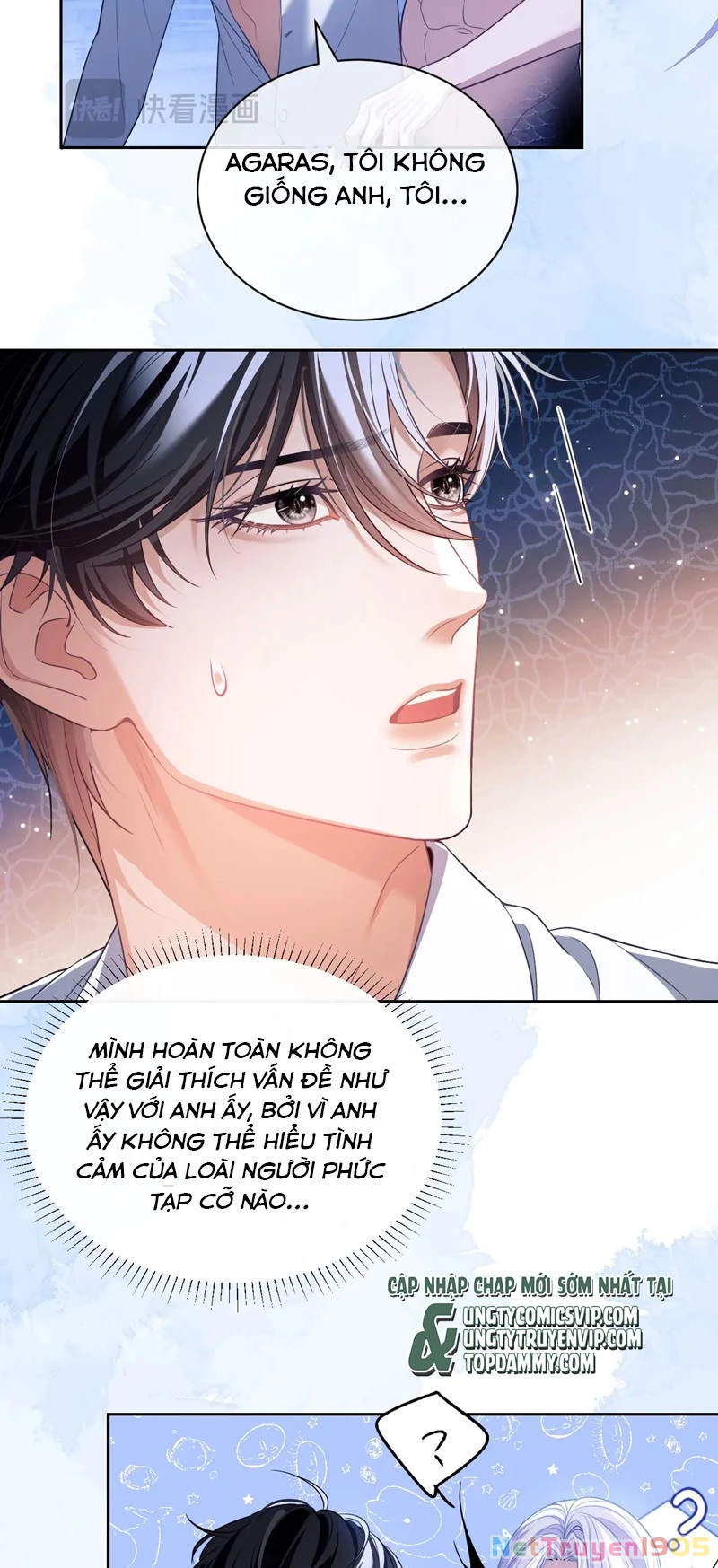 Desharow Nhân Ngư Chapter 28 - 13