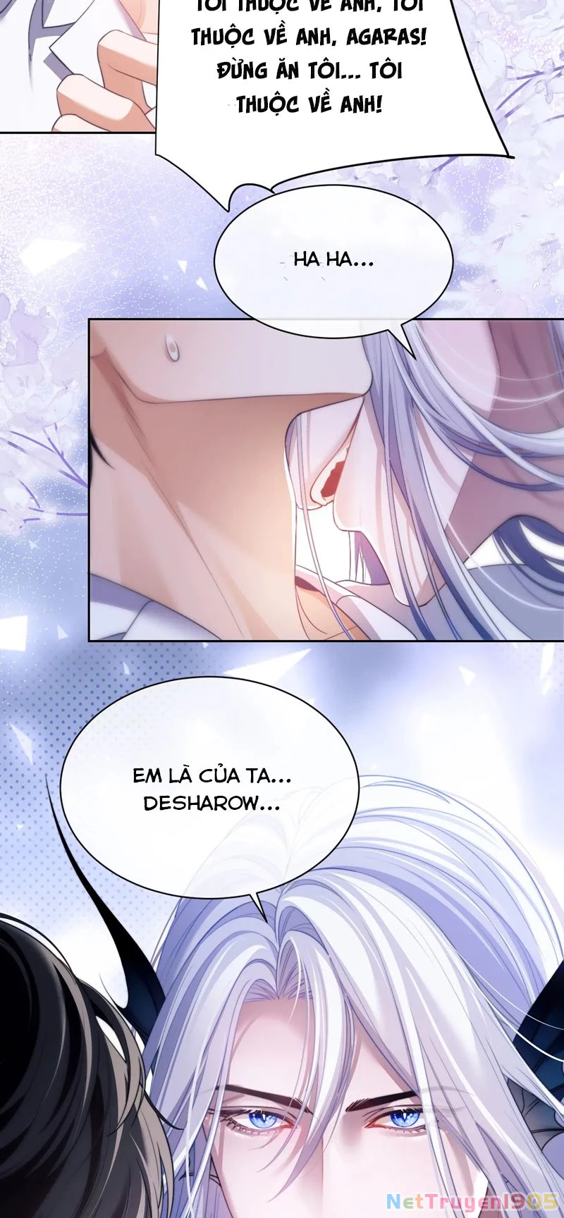 Desharow Nhân Ngư Chapter 29 - 3