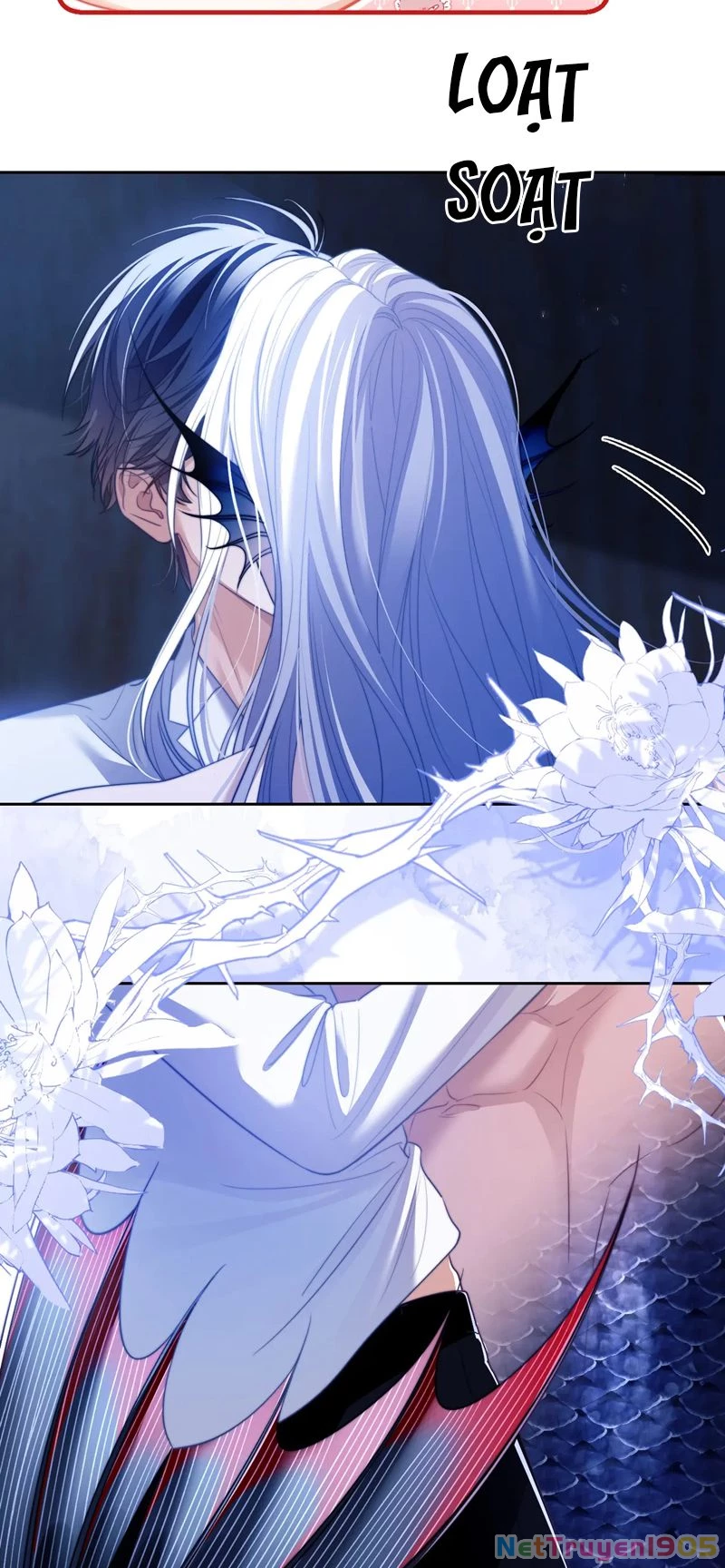 Desharow Nhân Ngư Chapter 29 - 5