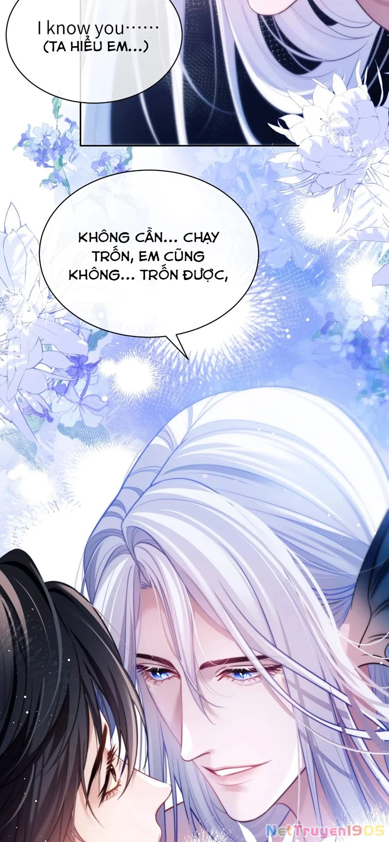 Desharow Nhân Ngư Chapter 29 - 12