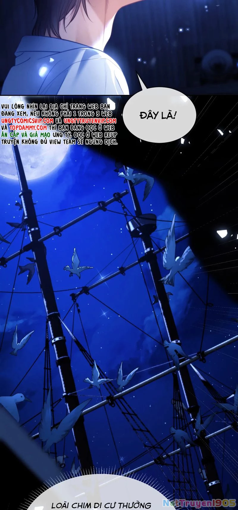 Desharow Nhân Ngư Chapter 29 - 16