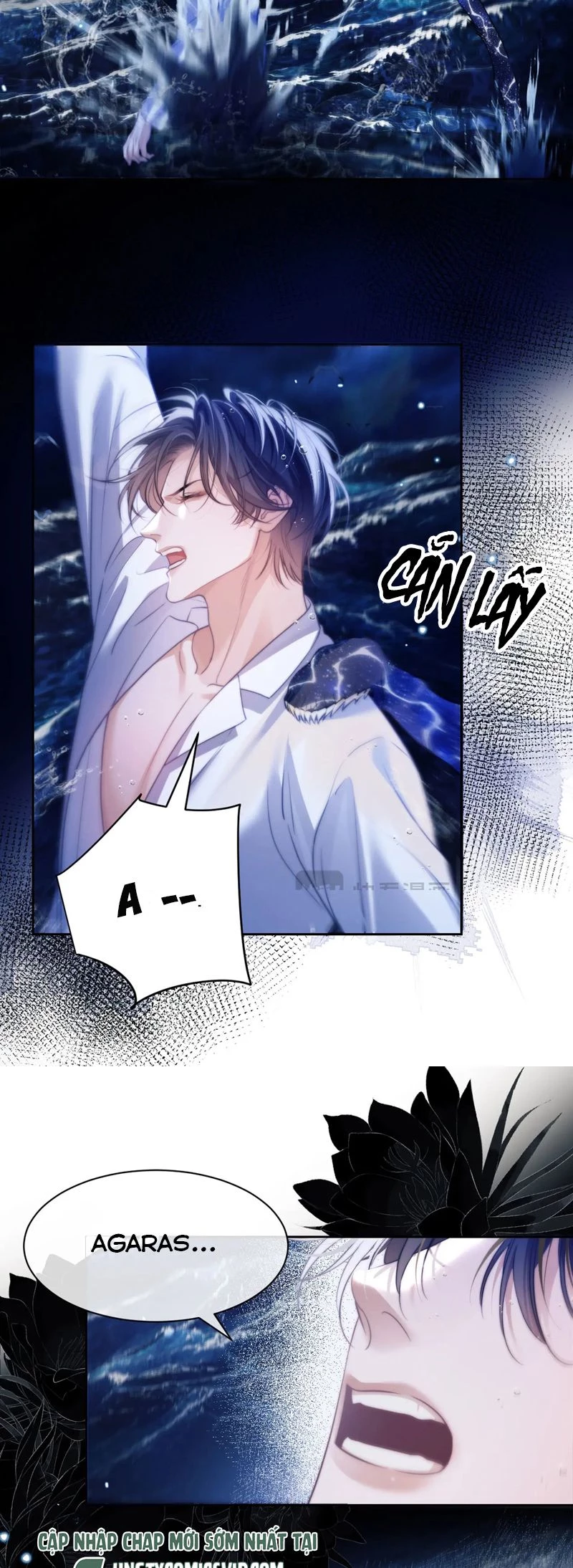 Desharow Nhân Ngư Chapter 32 - 19