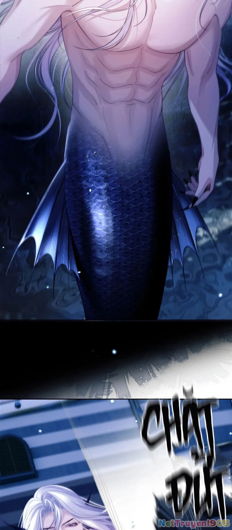 Desharow Nhân Ngư Chapter 33 - 3