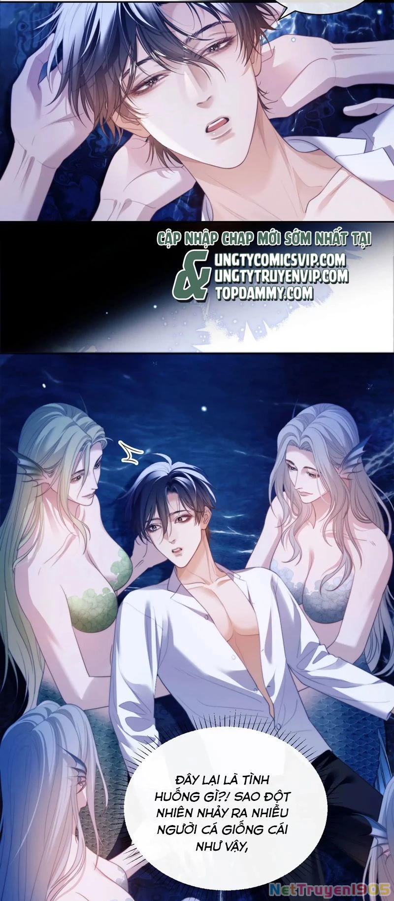 Desharow Nhân Ngư Chapter 33 - 11